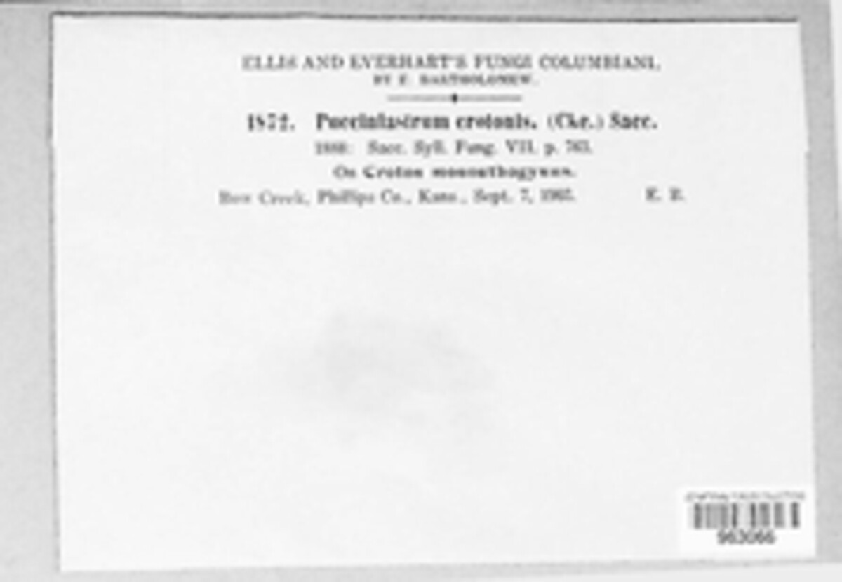 Phakopsora crotonis image